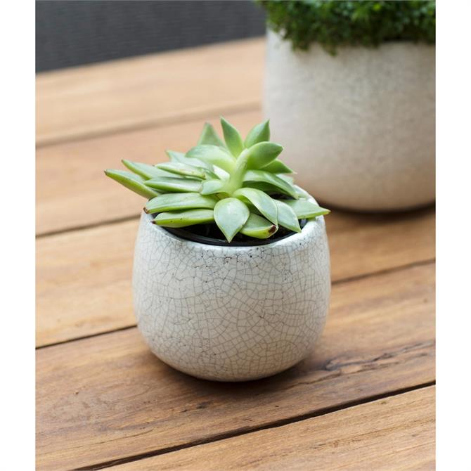 Garden Trading Ravello Ceramic Plant Pot 11.5cm